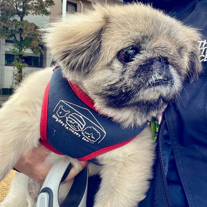 B6b2b8bb 56d5 4ba8 aa8f a5c02d7a2641 1760836773739