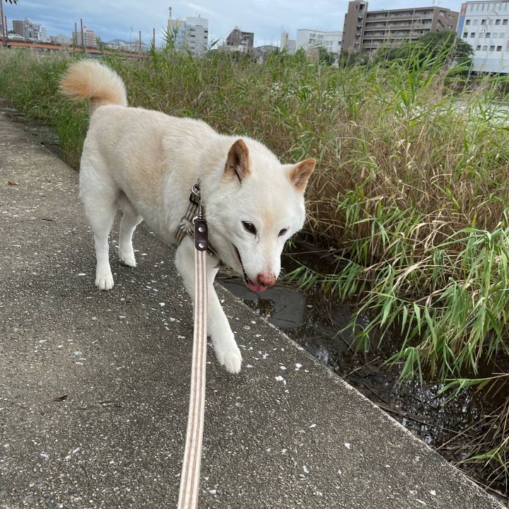 B6b2c3e5 34c1 4138 89d9 73c993fa1e67 1655219277865