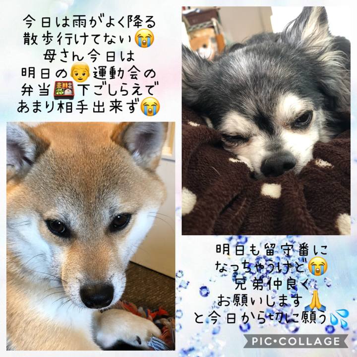 B6b2e7b5 ca41 468b ab22 dfc0514f4350 1559277788899