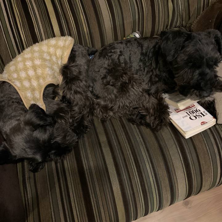 B6b2e9e9 5046 448a 8cef a5a25a1562e3 1613042382392