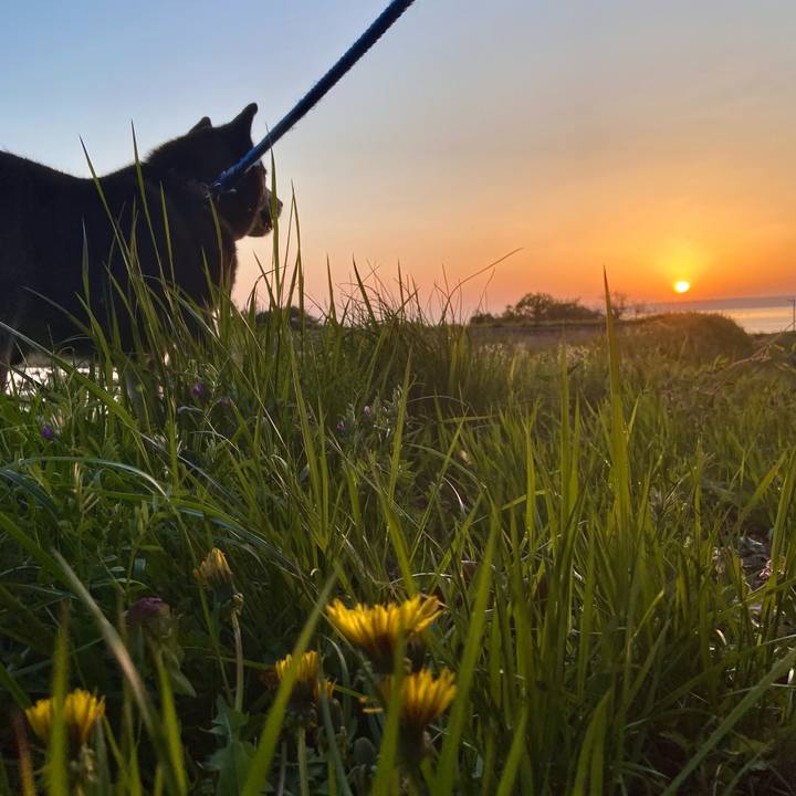 B6b323f4 eb0d 4020 a11f 703ce9dfeb42 1681900686321