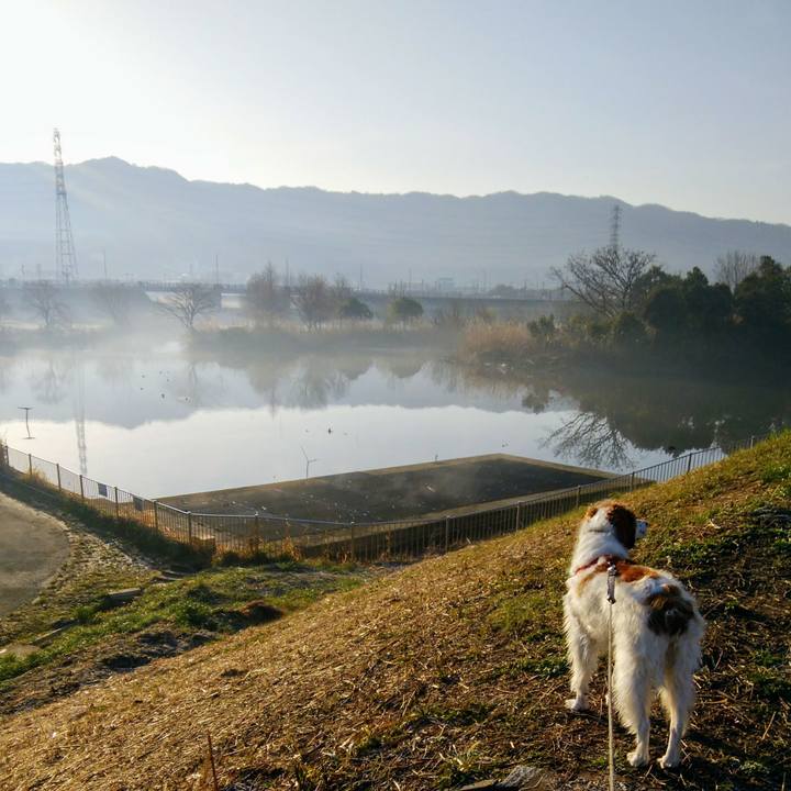 B6b34ab3 aea6 464d bf66 15703963b76f 1552868367960