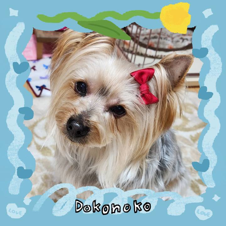 B6b35027 5b52 4422 9bdb 2a7c7c1c9de7 1772314809261