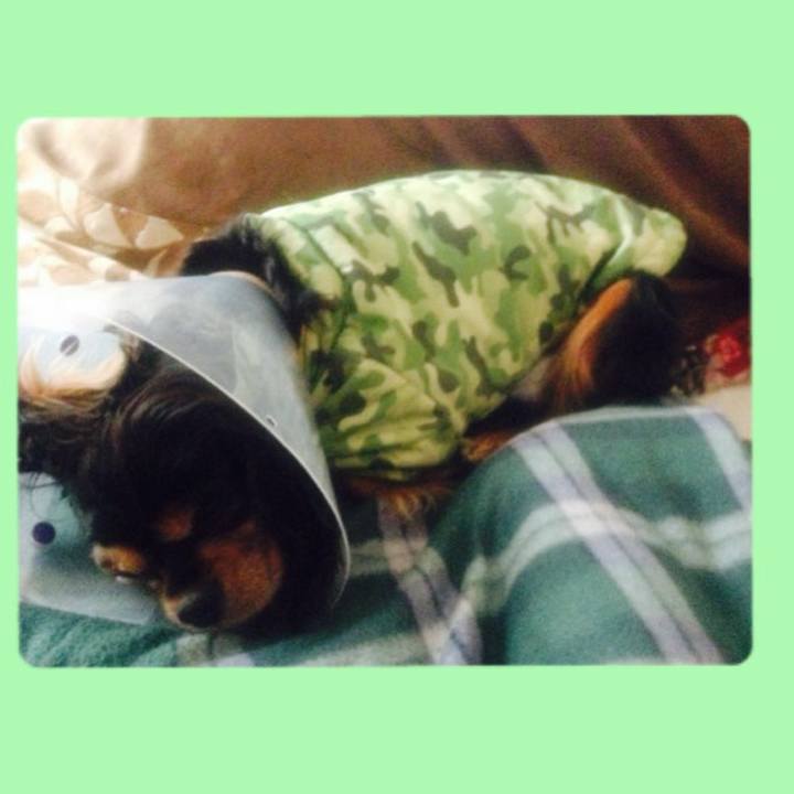 B6b36a43 e42d 4e8c 90bb 5ae593ea2b42 1524491888109