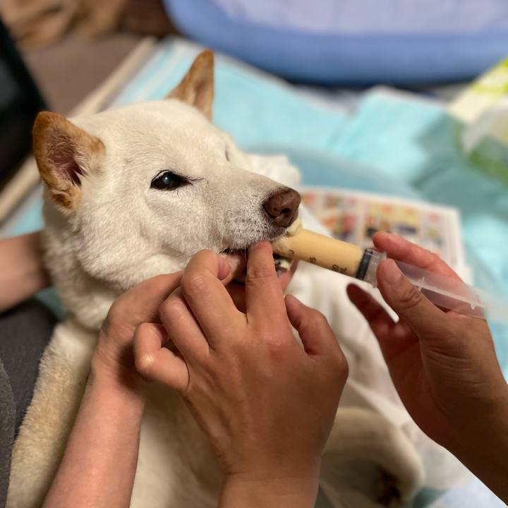 B6b36dc2 0d07 4339 9488 672204ddb93e 1651924547411