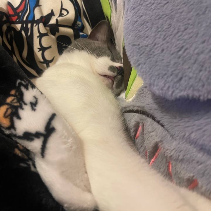 B6b3798d 7ed2 47e8 a937 8beb8aa9f74f 1704968626790