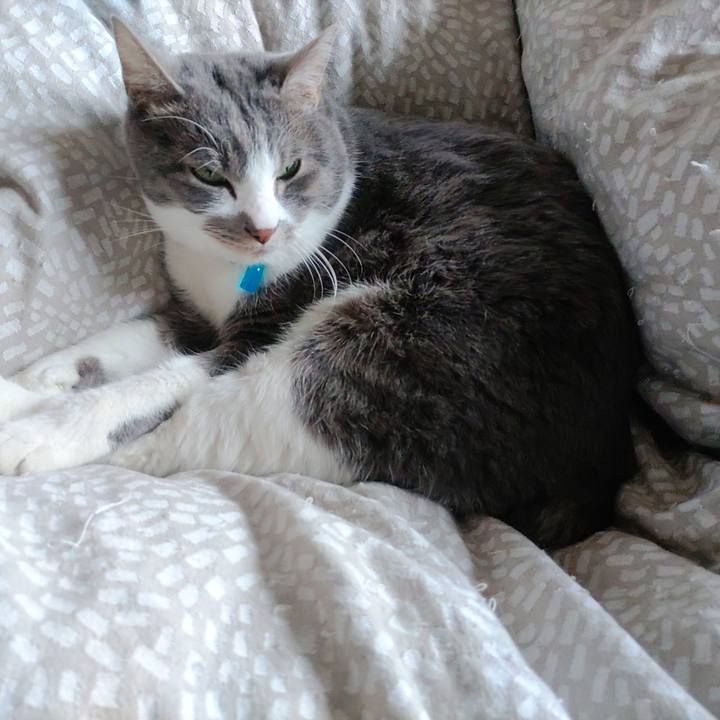 B6b3825e cb98 4688 927f c867a083f3a8 1709772359185