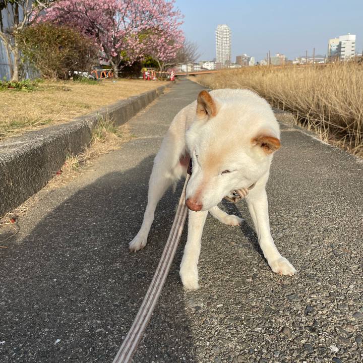 B6b38577 f69b 4baa 966f aa942445ccc8 1646478555995