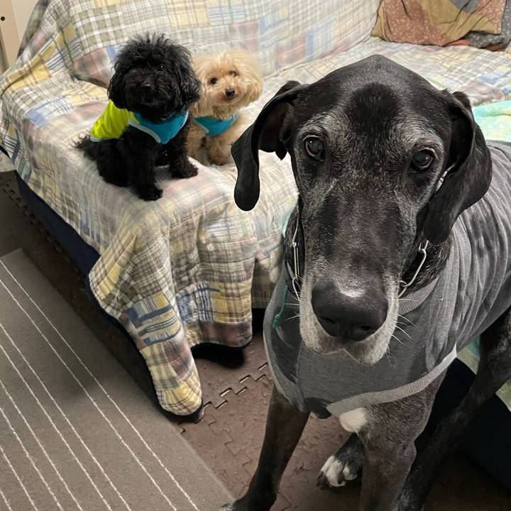 B6b38725 91ba 4a53 8acc b4ab7d9df531 1620341432727