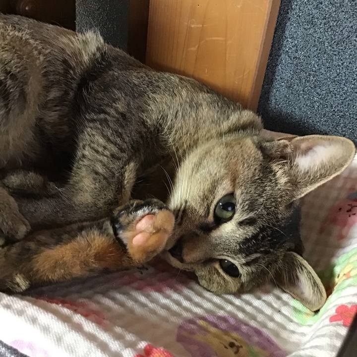 B6b3a31b f683 4e5b bed3 b15547b3fc5f 1575694747621