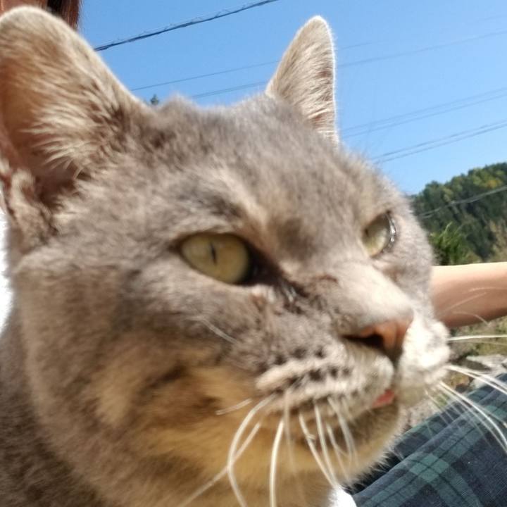 B6b3af7e 14a3 4faf 8781 56b8cf621b59 1550485301400