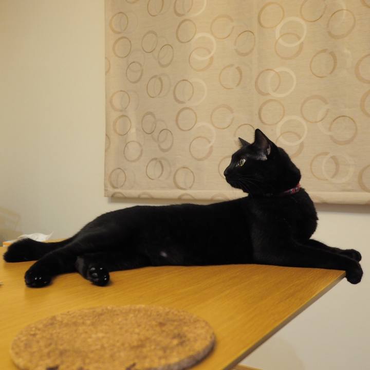 B6b3f50d 5cfe 454b b7f1 2e6a61731e88 1537194880637