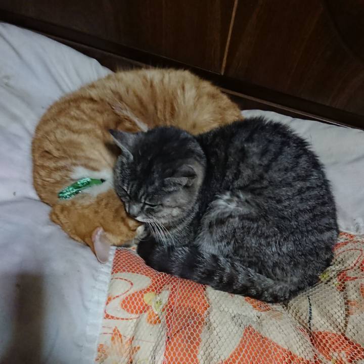 B6b3fb82 7558 41f0 97a6 3ded841b075e 1581606343513