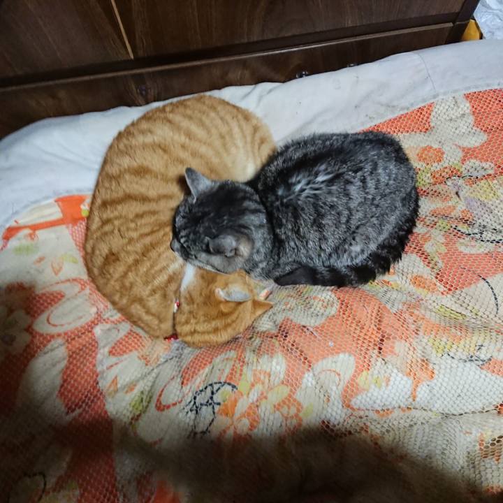 B6b40c44 4a5c 477d b18a cae5d47259c2 1577968548454