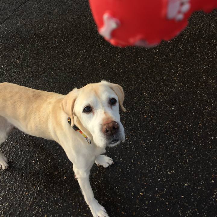 B6b44a0a 4957 4919 9f20 e95aa32f3a66 1516261266444