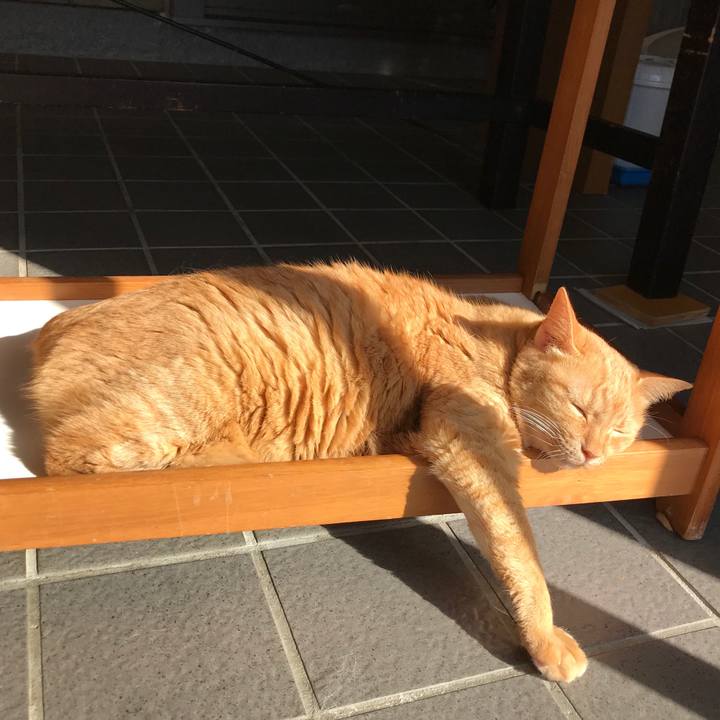 B6b4a8ff 9f8f 4b95 a5a7 f61734ec887e 1605177787879