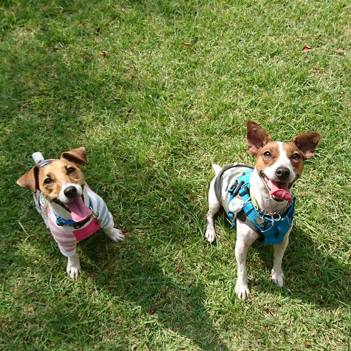 B6b4bab5 bed9 456b 96c9 364ebb616208 1570337415309