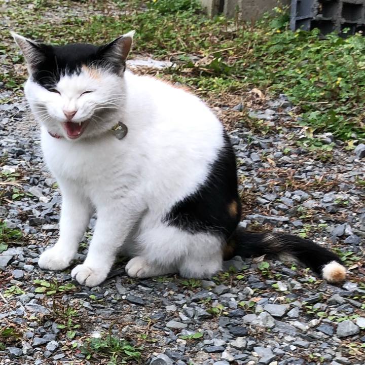 B6b4bba1 14f8 4de7 8c2a c10f27377b80 1605782464357