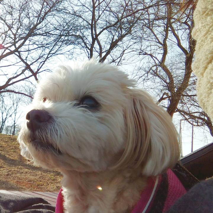 B6b4f2b9 27d1 4f1f b4c9 f775558a0349 1613292861532