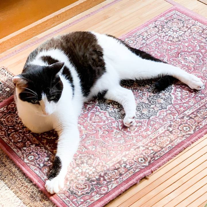 B6b52845 5ff4 4302 bb59 76e1bacf15ec 1566957288247