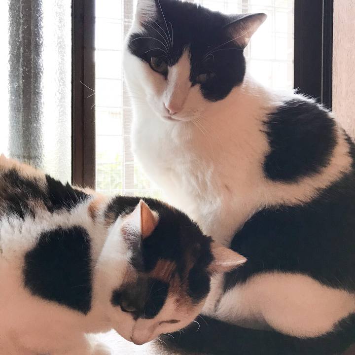 B6b57e21 2e41 42a8 9cbd f9980ac8e122 1524149479989