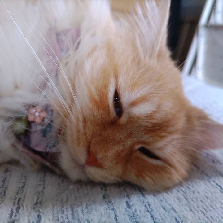 B6b58030 b441 4cfa acb9 14cb141ebafb 1717998553598