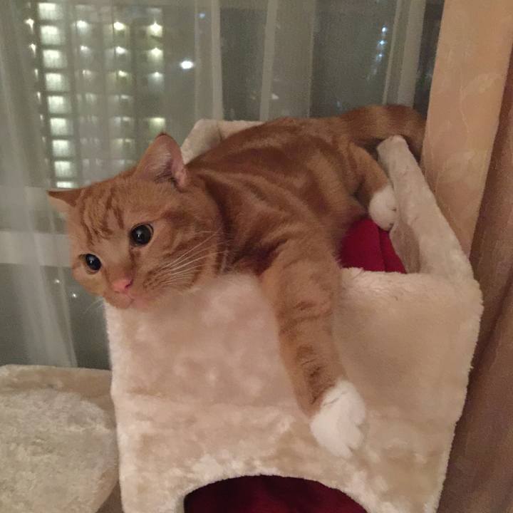 B6b5803c 3795 4b82 a3ff f53e607c5531 1510001732752