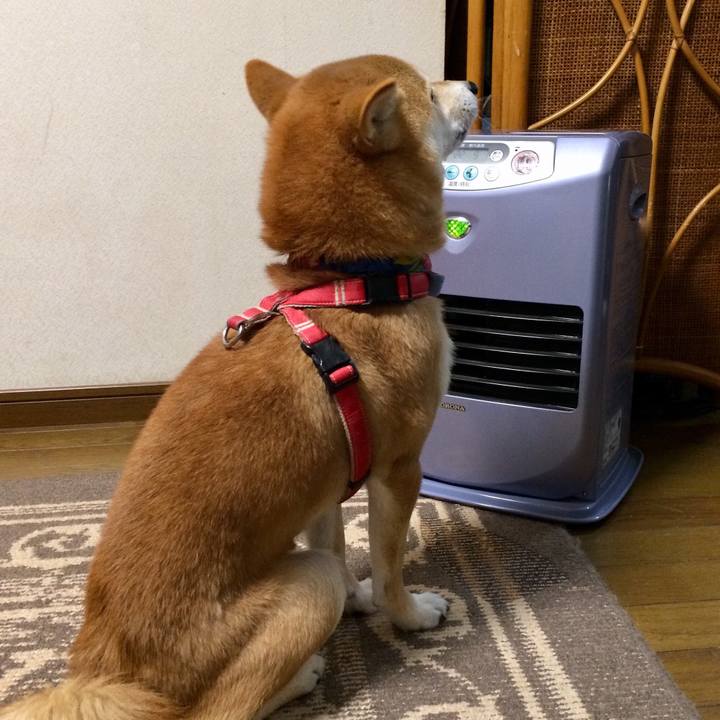 B6b594ab 4097 42cc bbd1 7b67f1b040ca 1513421418856