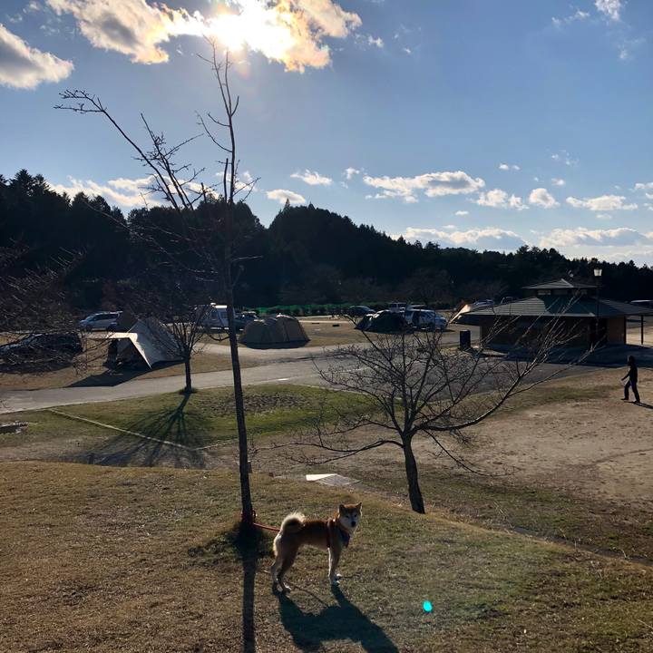 B6b5a090 1a83 4724 81b4 7a2a43a021bd 1544863604660