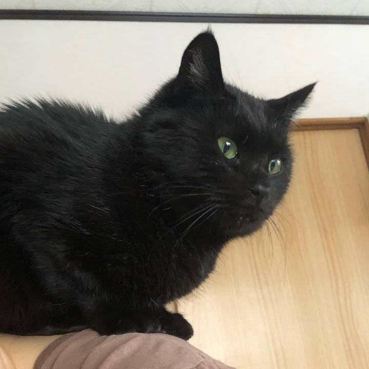 B6b5e6e7 bd5f 4b94 ac63 95b50a77d910 1607209351843