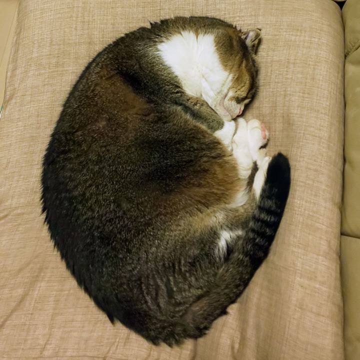 B6b5e709 602d 4264 8b81 55bce7d9877f 1737124832715