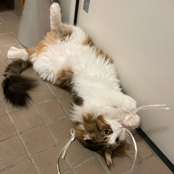 B6b61240 cd2f 4537 8a95 a12fcd5697ad 1696449020877