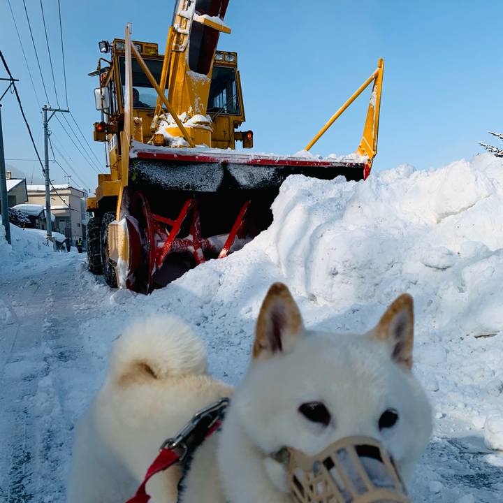 B6b61869 7ce2 4ec2 b4ed 9ece1386a8cf 1611466303262