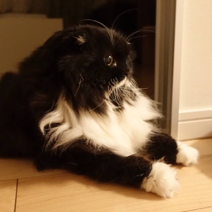 B6b61bb5 13cd 44b6 8cf6 1d92610fe297 1521296652243