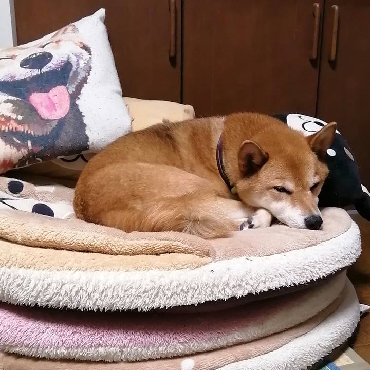 B6b631b4 85da 47dc b306 68ebb5c04bfb 1596284180823