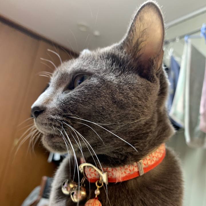 B6b6541e 758f 4a4a a6b4 16b25eedfb2b 1609937288733