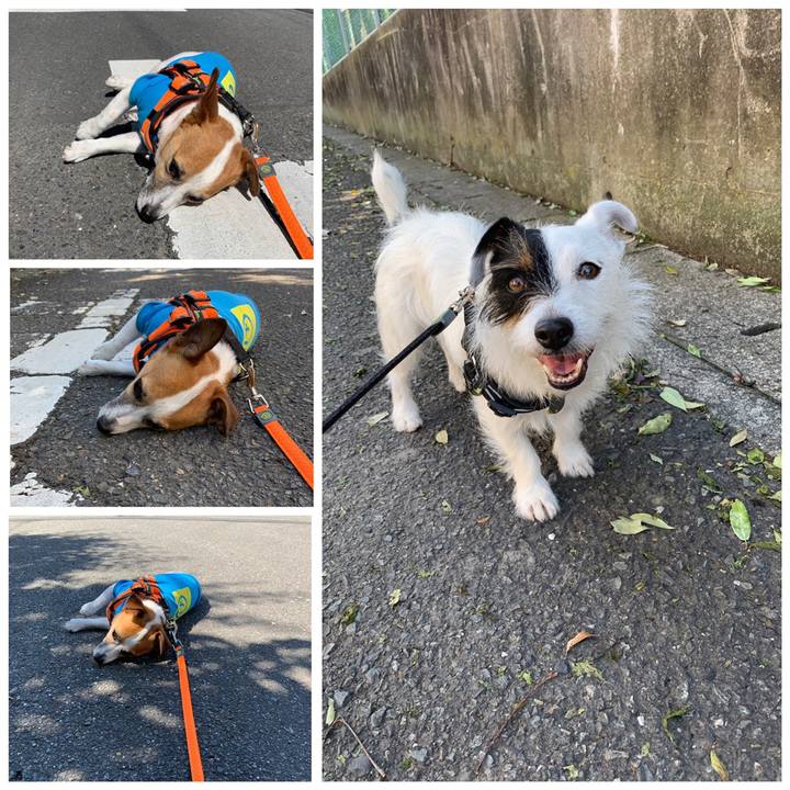 B6b6632e 485d 42b2 a56f bc7cf7e82954 1558571618928