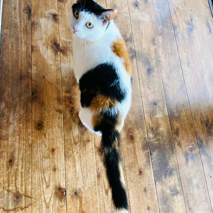 B6b6715c 980f 4822 86f2 2320fc00c5eb 1687763979130