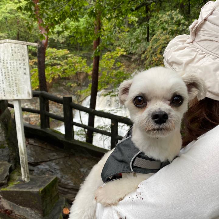 B6b69343 1b08 41b8 bec3 18f9c3e511f9 1570166574429