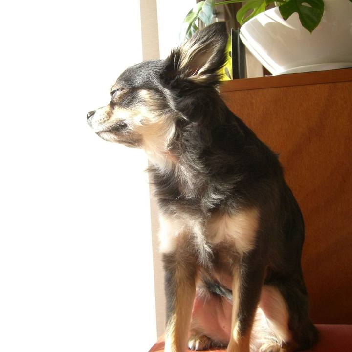 B6b6e557 5017 45d2 be15 58a7f24931af 1629586833928