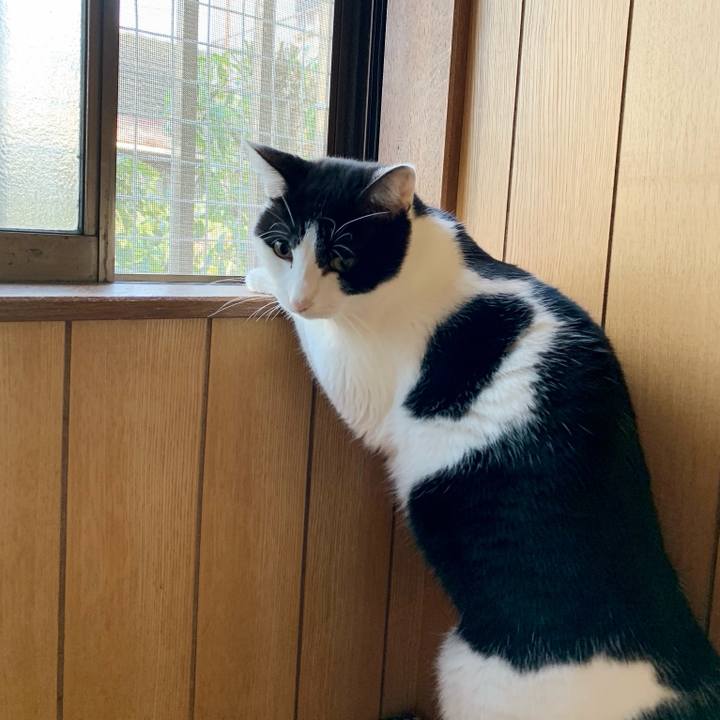 B6b6f3dc 4907 4b04 88fd 797a361756c9 1545869552349