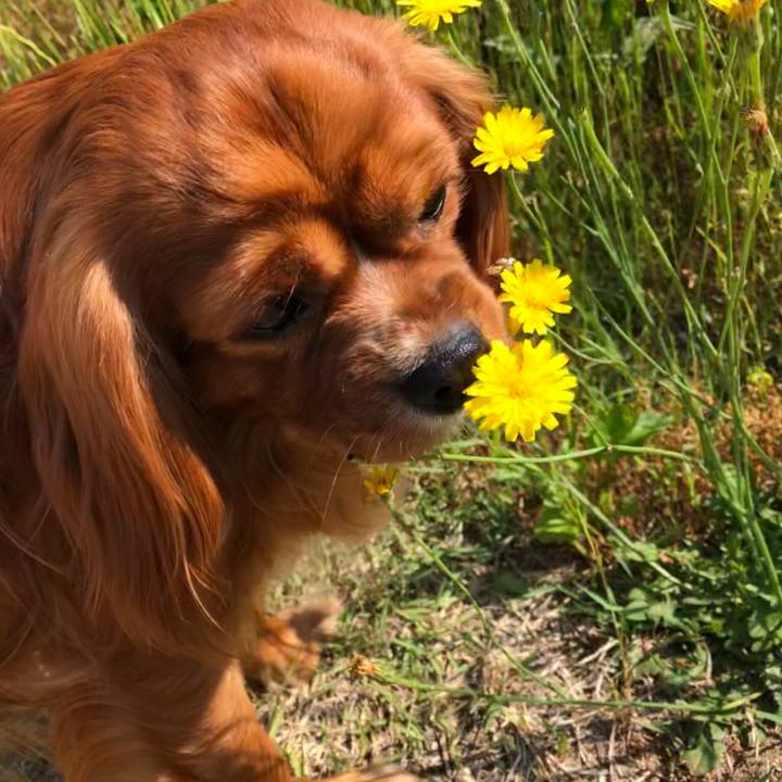 B6b6f90e 0d61 470c 8731 eb72ced94ea6 1558760919649