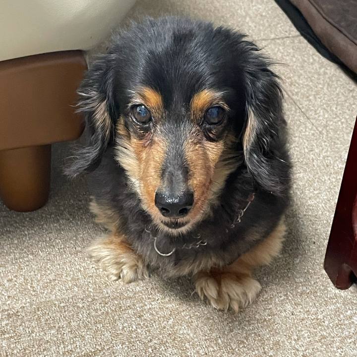 B6b70cba 0eea 4eda baea bdd93776d480 1621374104348