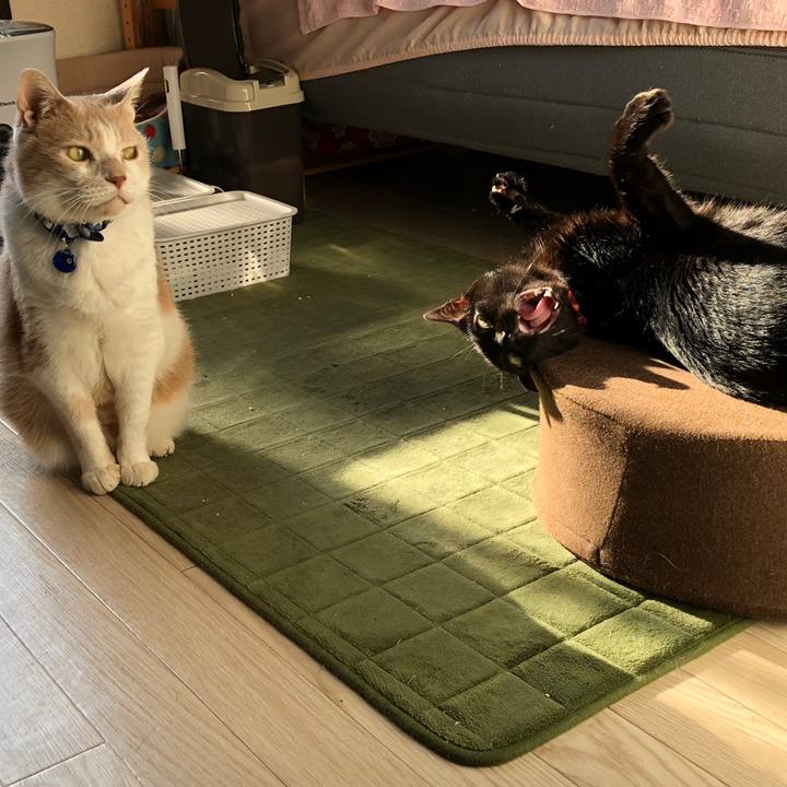 B6b7362e 98da 48d0 b9ae 591aeb427e5b 1558669111544