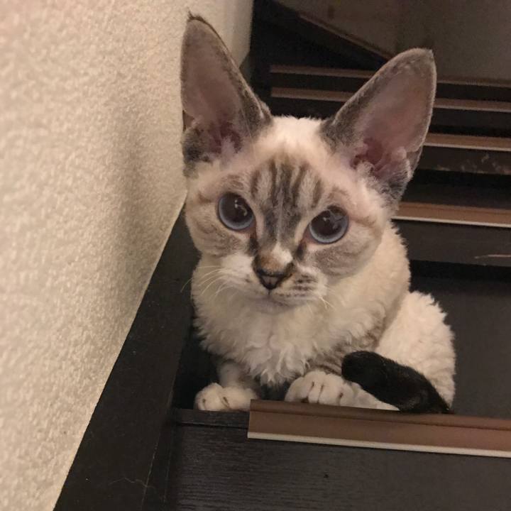 B6b7818b 8e94 461c 965e 81b36e6cf7a2 1588055562943