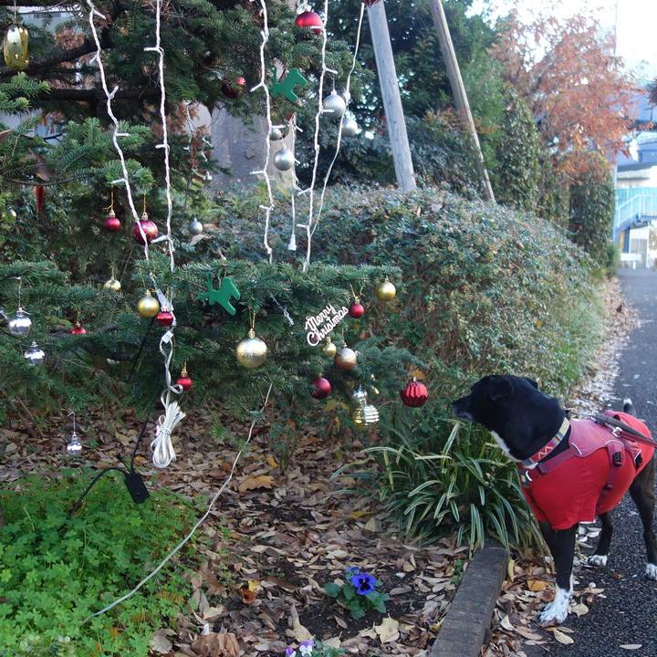 B6b79276 88c6 4848 8432 bbe295e0be0d 1702436750584