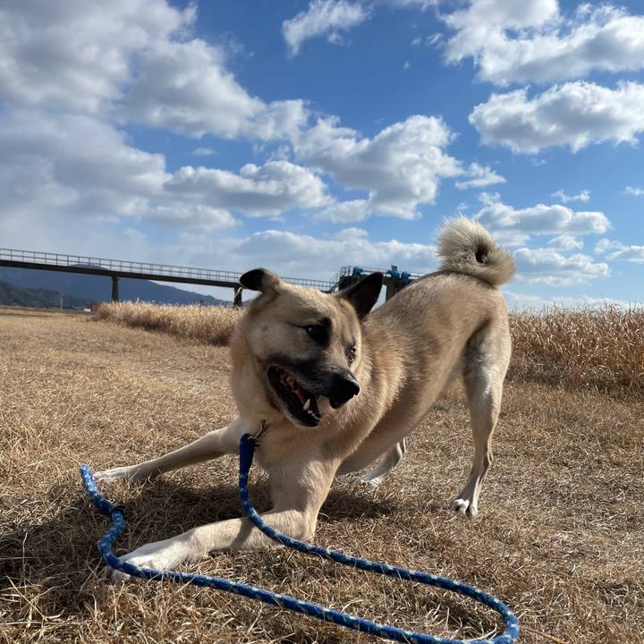 B6b793c2 5952 4d74 bb0c 8f7cf7adc5a2 1644138740974