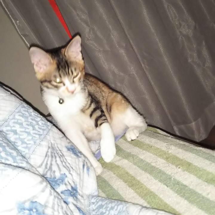 B6b79472 b12c 49f3 b1c3 530e994b7347 1629066973723