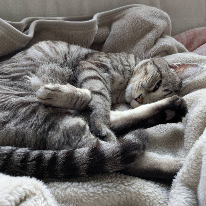 B6b79987 ea48 4adb 9b49 442a92e94728 1738727211527