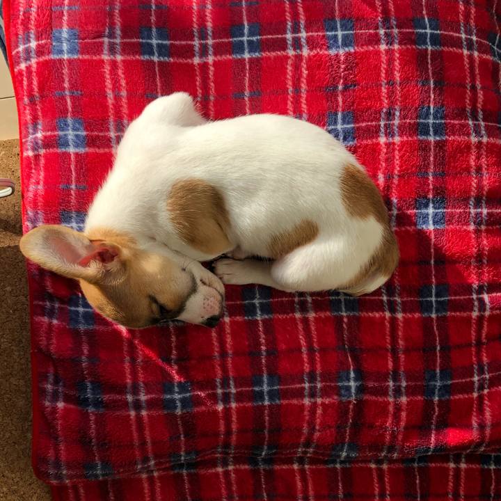 B6b79e58 4108 4eed 807e 3639f9c5cfb3 1545610772929